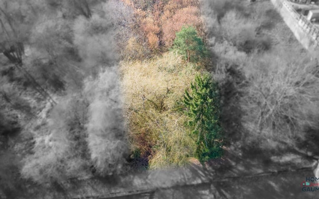 La Clairière Secrète